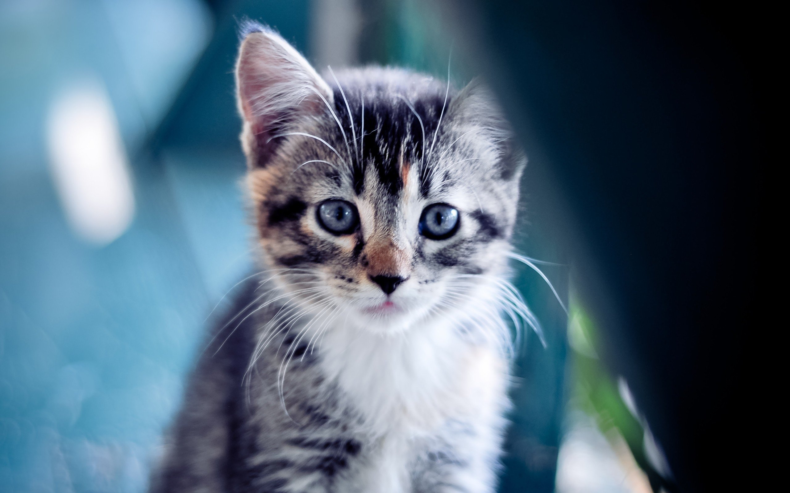 开云kaiyun-_快船迎战劲敌，拼尽全力献出精彩比赛_，快船的比赛